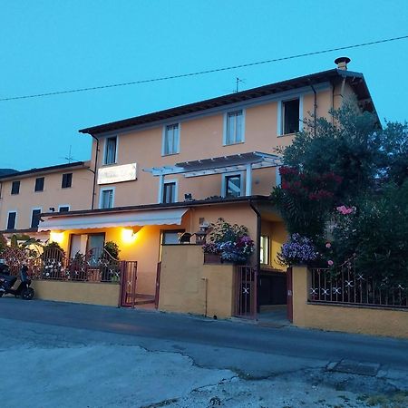 Nonna Lory Bed & Breakfast Pietrasanta Exterior foto
