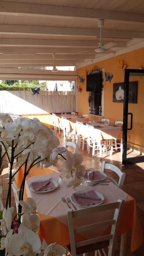 Nonna Lory Bed & Breakfast Pietrasanta Exterior foto